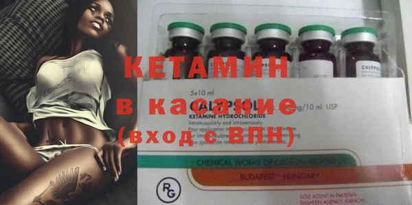 индика Аркадак