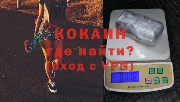 индика Аркадак