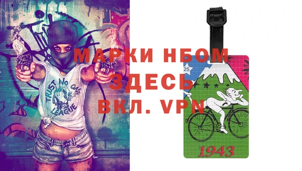 индика Аркадак