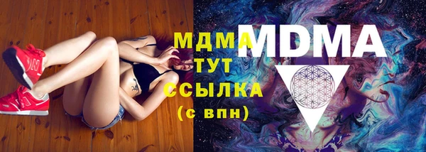 индика Аркадак