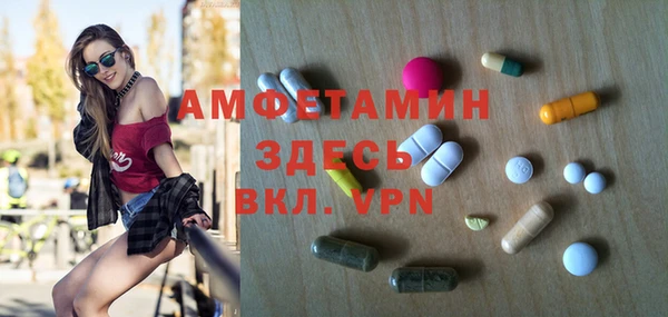 индика Аркадак