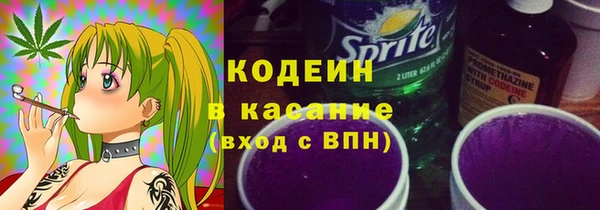 индика Аркадак